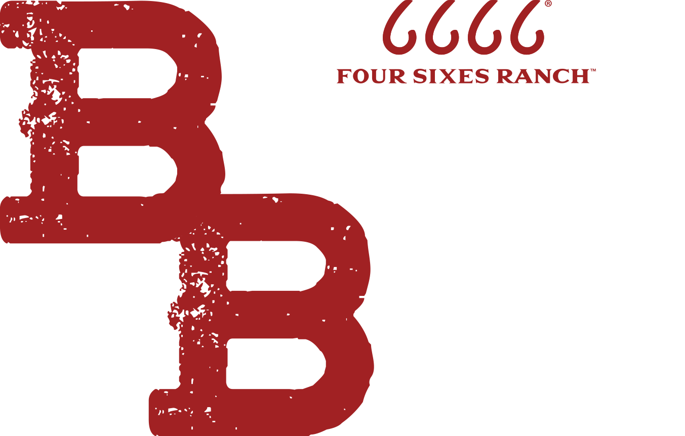 Brazos Bash
